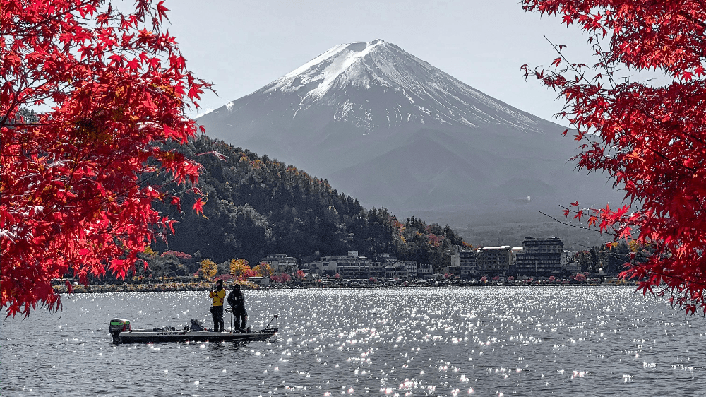 Bitcoin je populárny aj v Japonsku